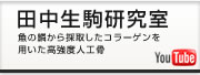 田中生駒研究室 You Tube