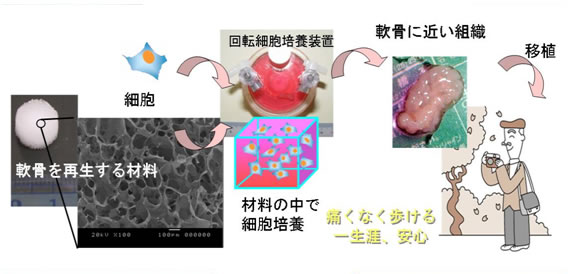 自己組織化現象（分子レベルの不思議な構造）