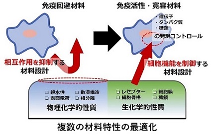 免疫を制御する材料